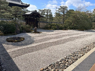 Matcha - Die Wurzeln und die Blüten, Teil 2: Die Geschichte