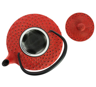 Obere Ansicht der Teekanne Kanbin Iwachu mit geöffnetem Deckel und eingesetztem Edelstahl-Teesieb.