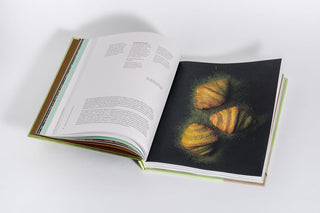 Japanisch Backen Innenseite mit japanischem Croissant und Matcha-Fotografie